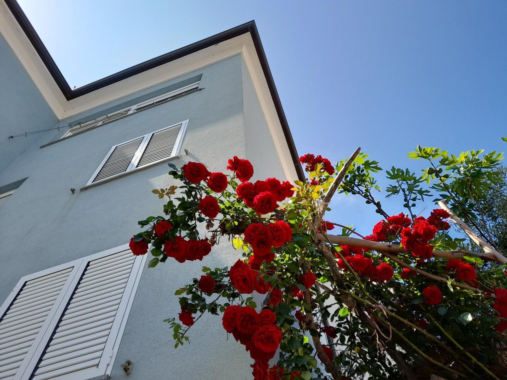 Lea Apartment Rovinj Bagian luar foto