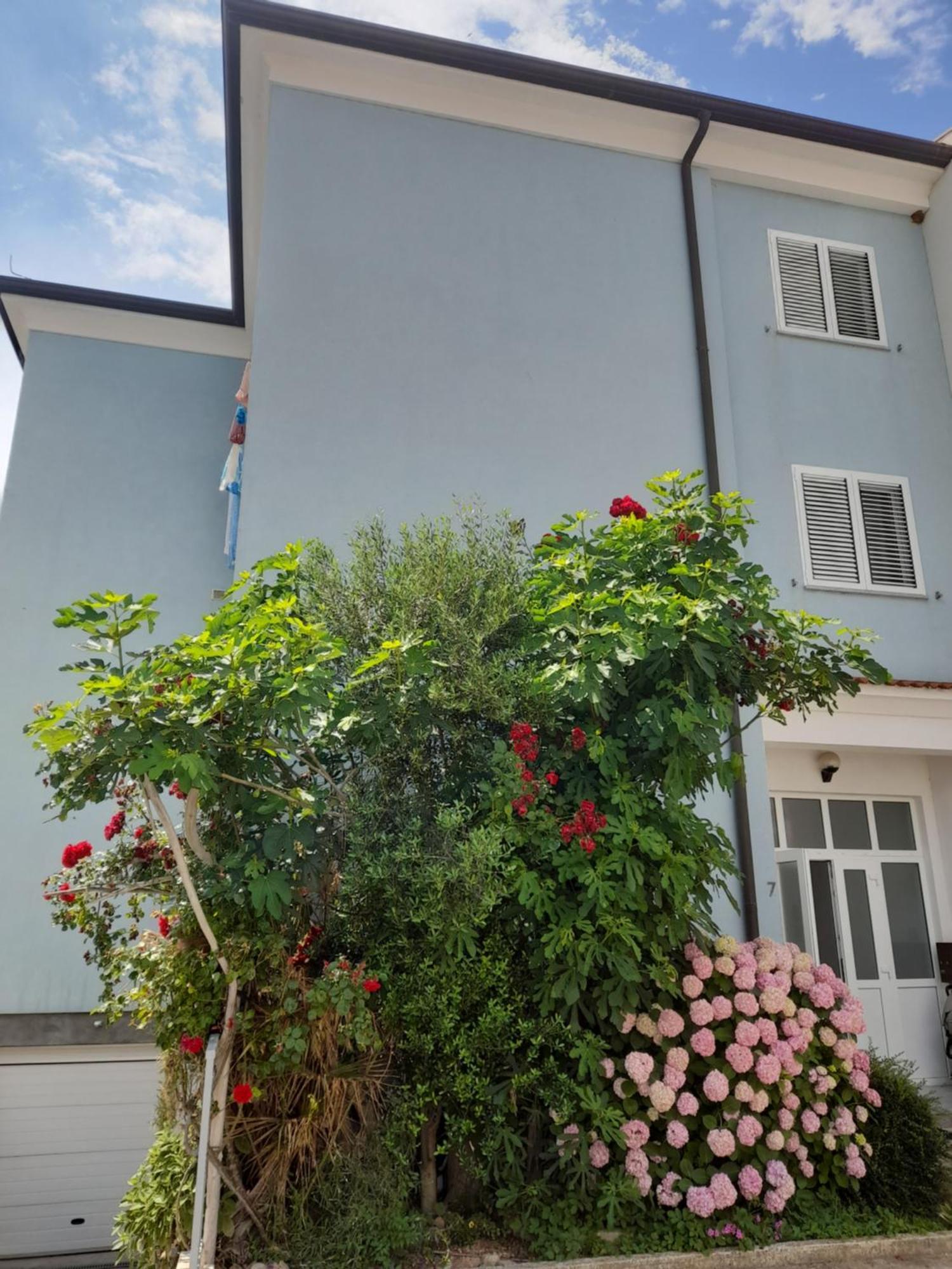 Lea Apartment Rovinj Bagian luar foto