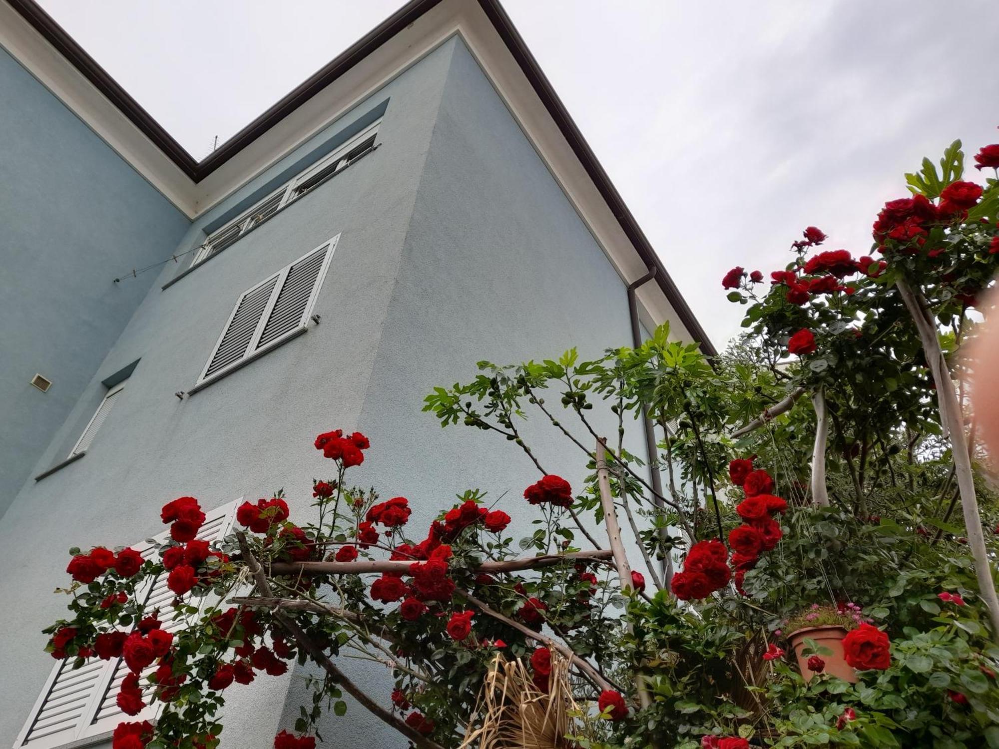 Lea Apartment Rovinj Bagian luar foto
